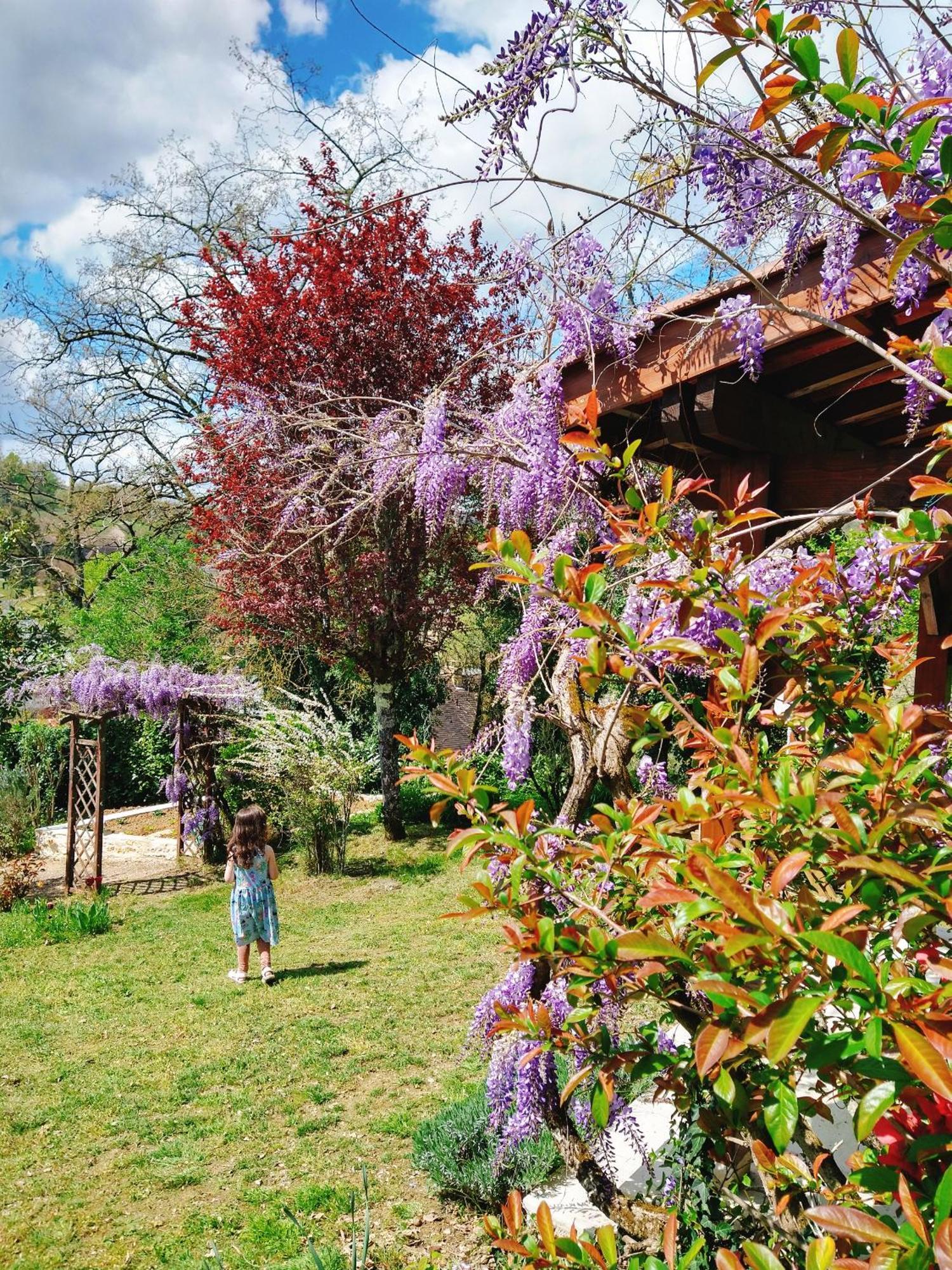 La Colline - Chambre D'Hotes - B&B Sarlat-la-Canéda Kültér fotó